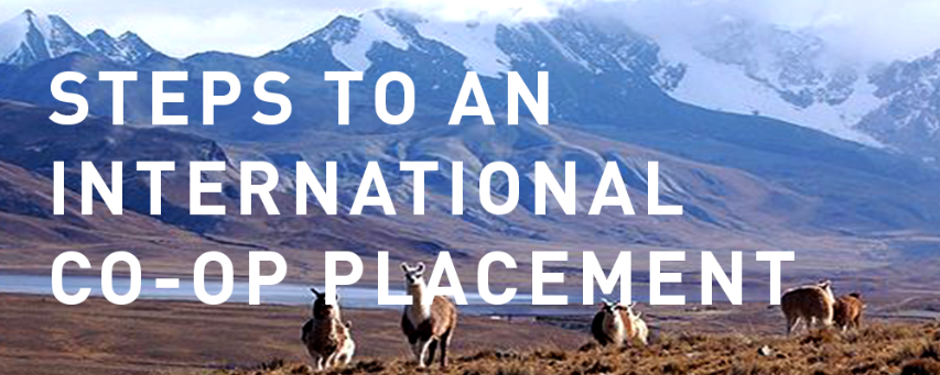 Considering International Co-op