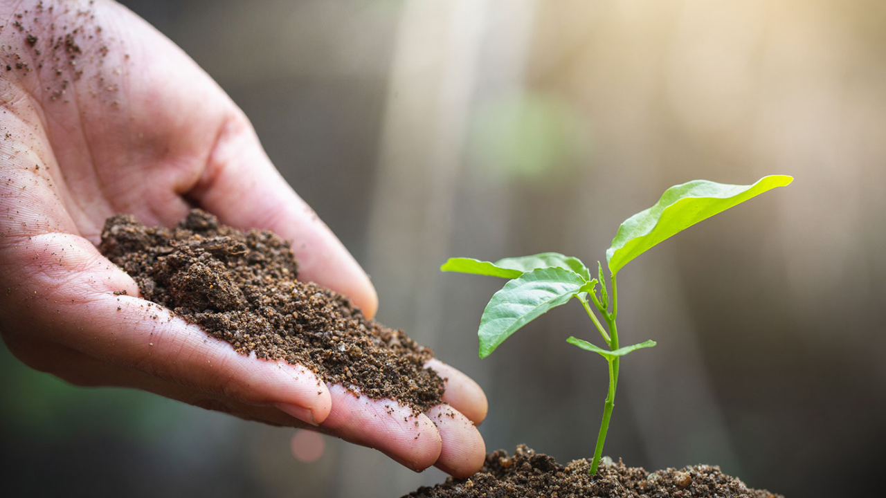 SUPPORTING BIODIVERSITY 