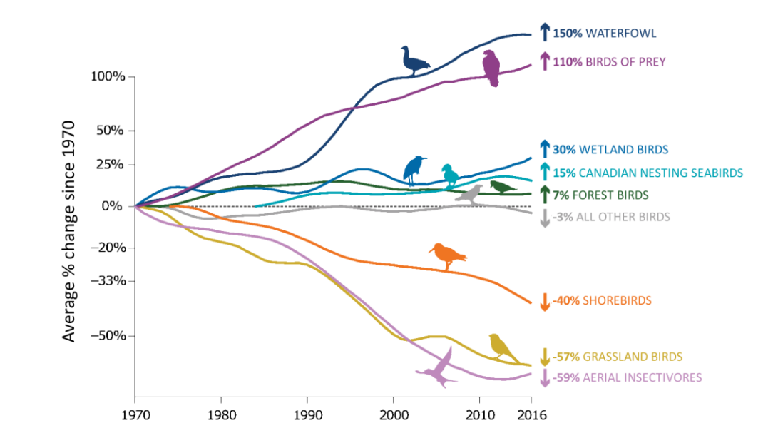 SUPPORTING GREEN INFRASTRUCTURE