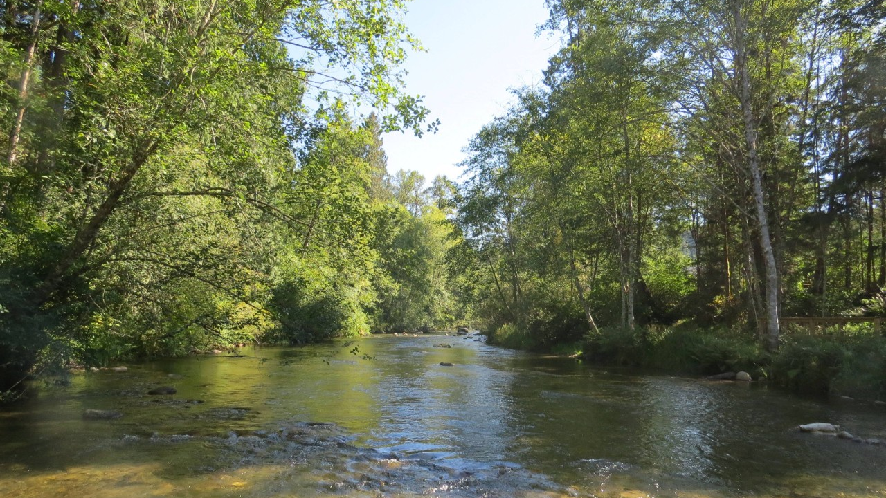 SFU's Pacific Water Research Centre and Alouette River Management Society form partnership to transform water management systems