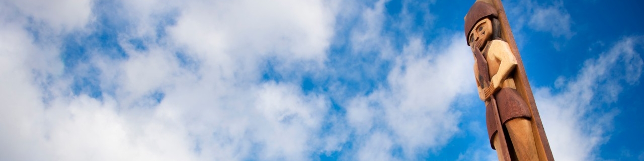 MSc in Indigenous population health