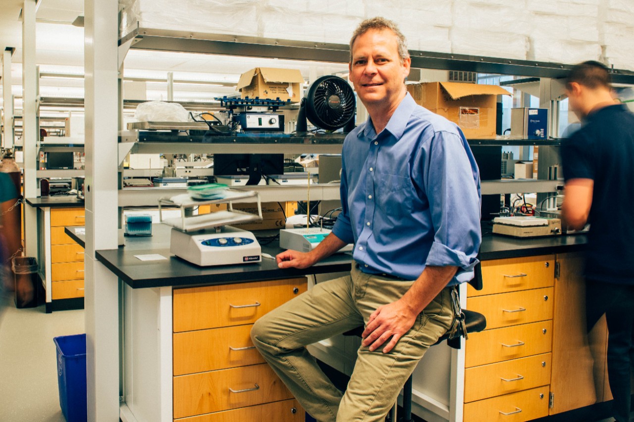 Tim Beischlag Tim Beischlag