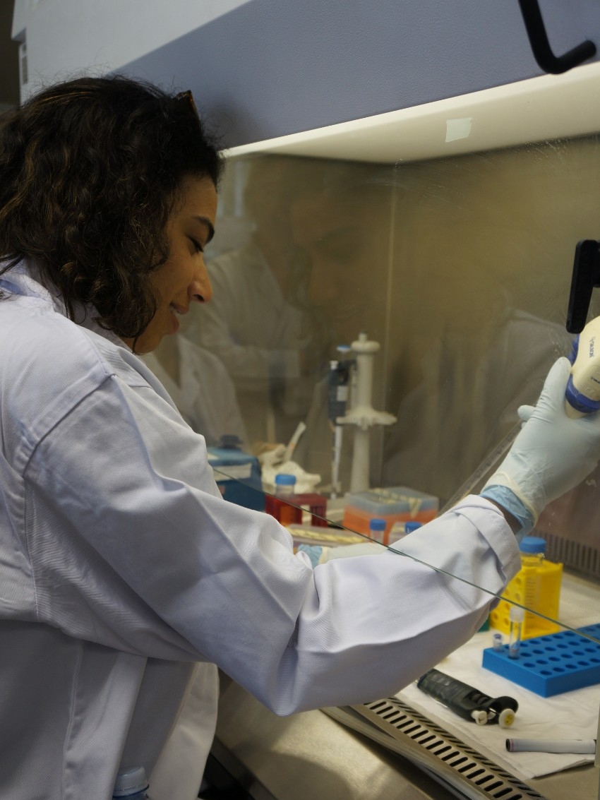 Working in the lab Working in the lab