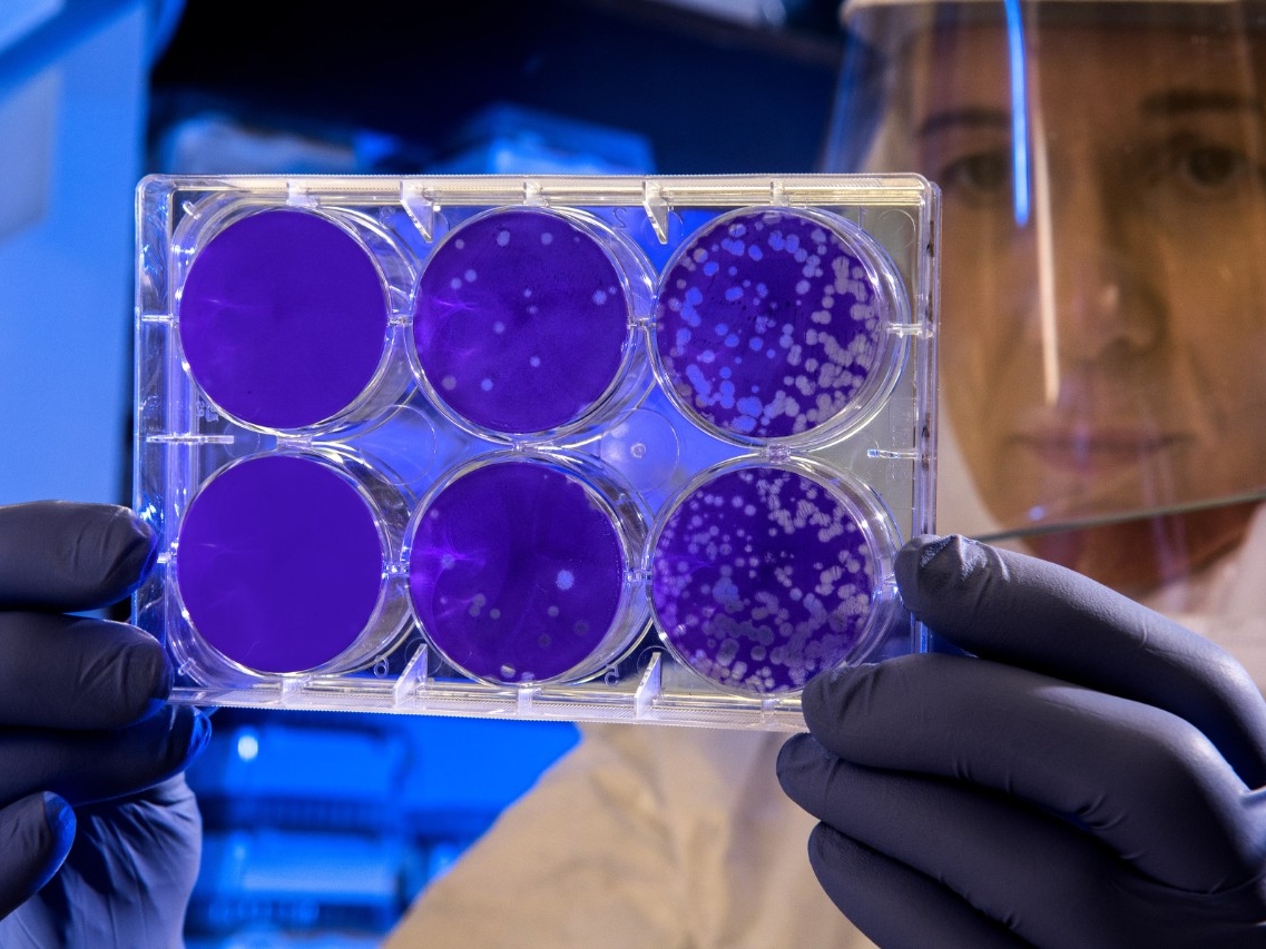 coronavirus outbreak coronavirus outbreak