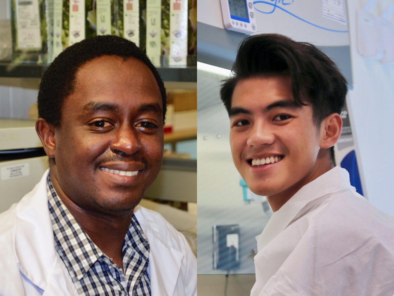 FHS scholars advance HIV pathogenesis research