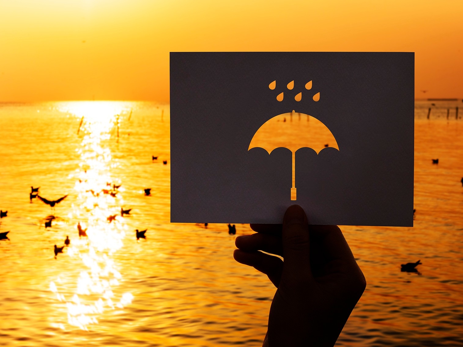 SFU-led research alliance hosts conference to examine mental health impacts of climate change