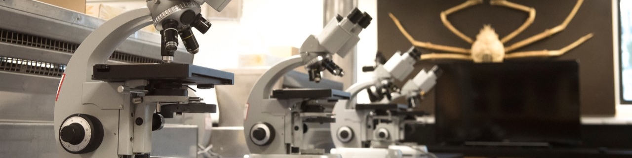 Bachelor of Science Bachelor of Science