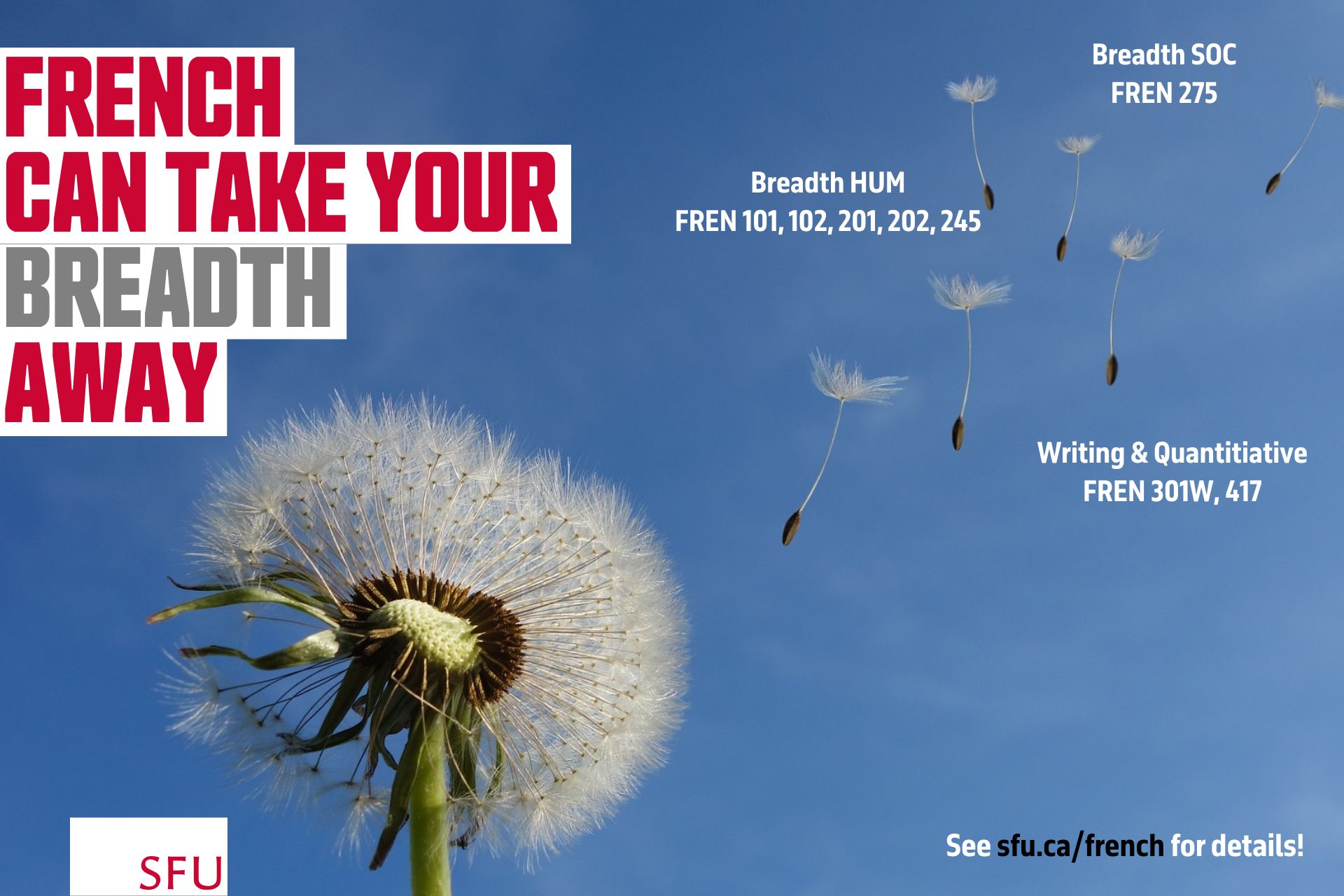 French Breadth Courses