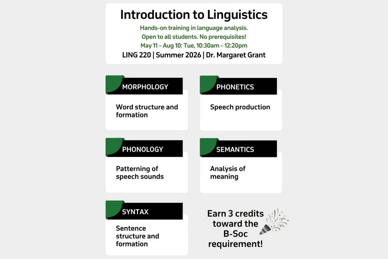 Electives: Summer 2026