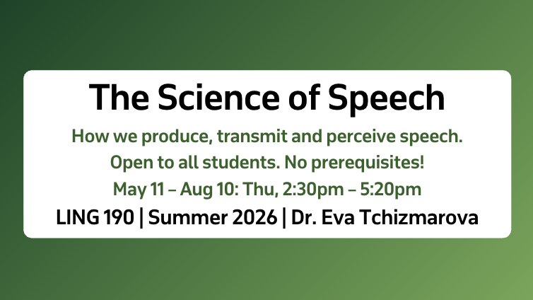 Electives: Summer 2026