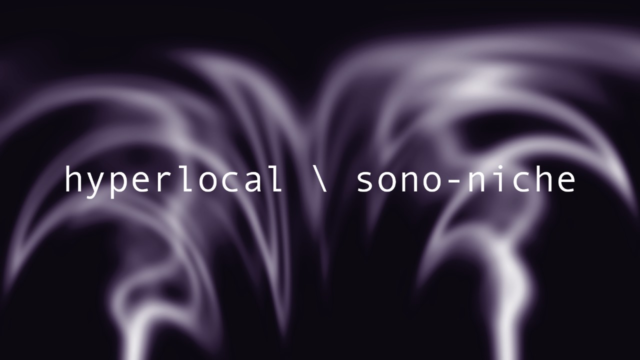 hyperlocal \ sono-niche