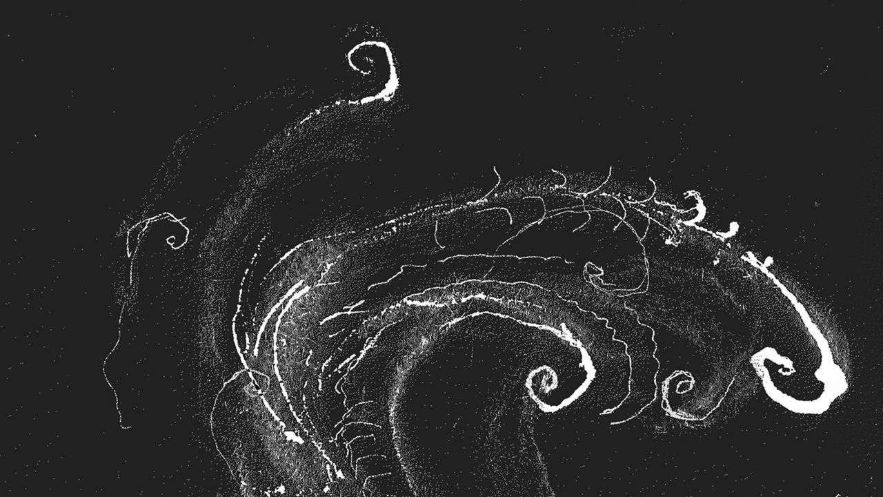 Simorgh: a self-portrait