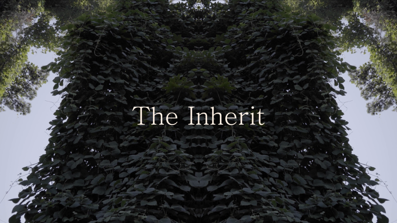 The Inherit