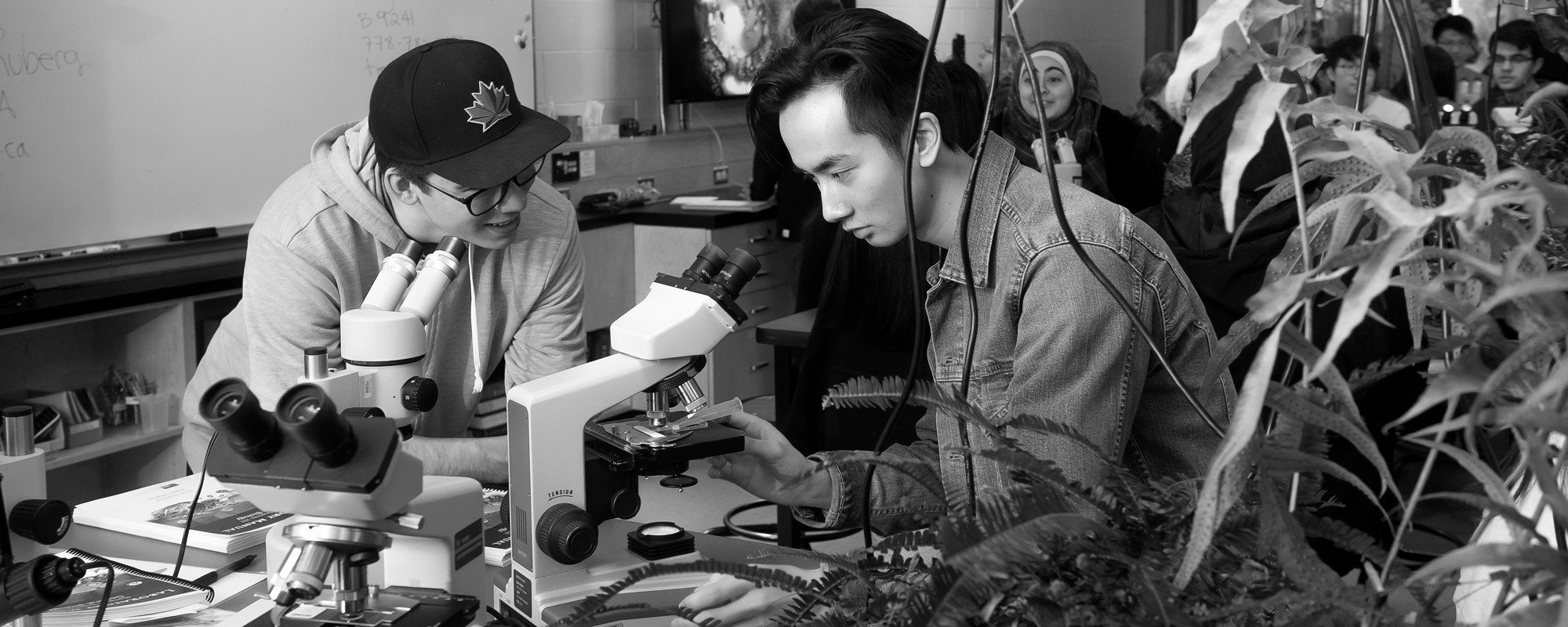 Students in the woods studying the environment